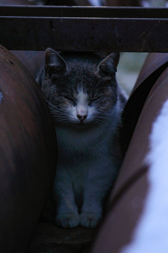 Photograph by Юркин Егор