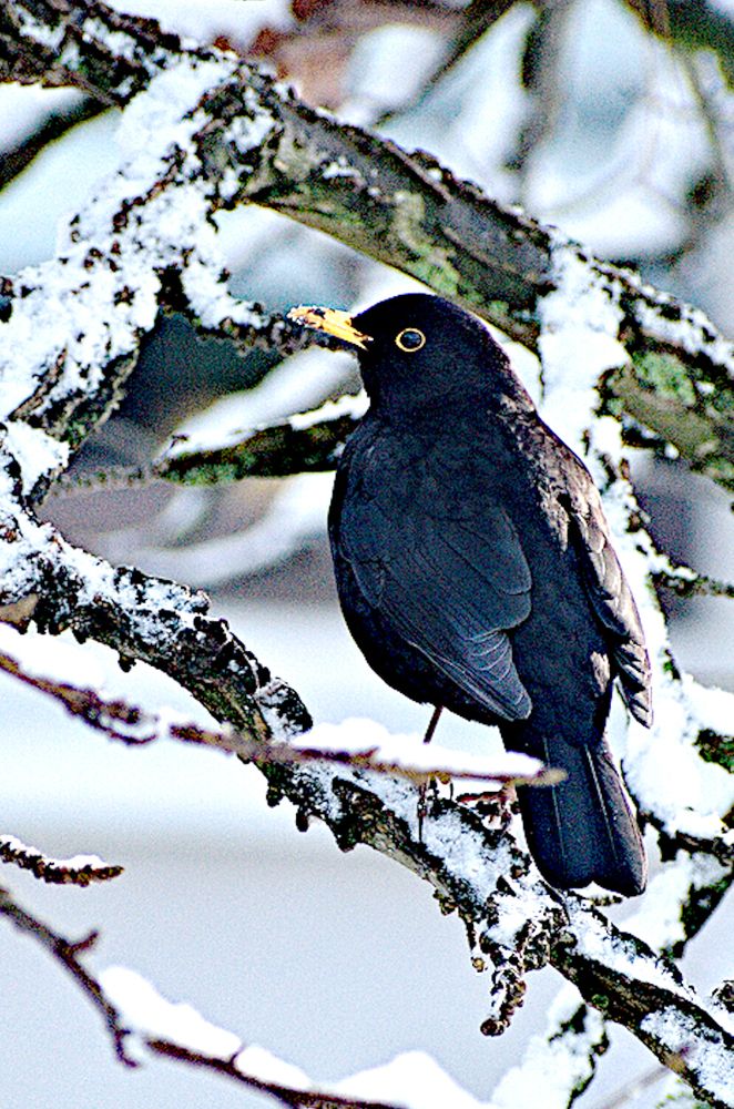 Photograph by Marina Weiland