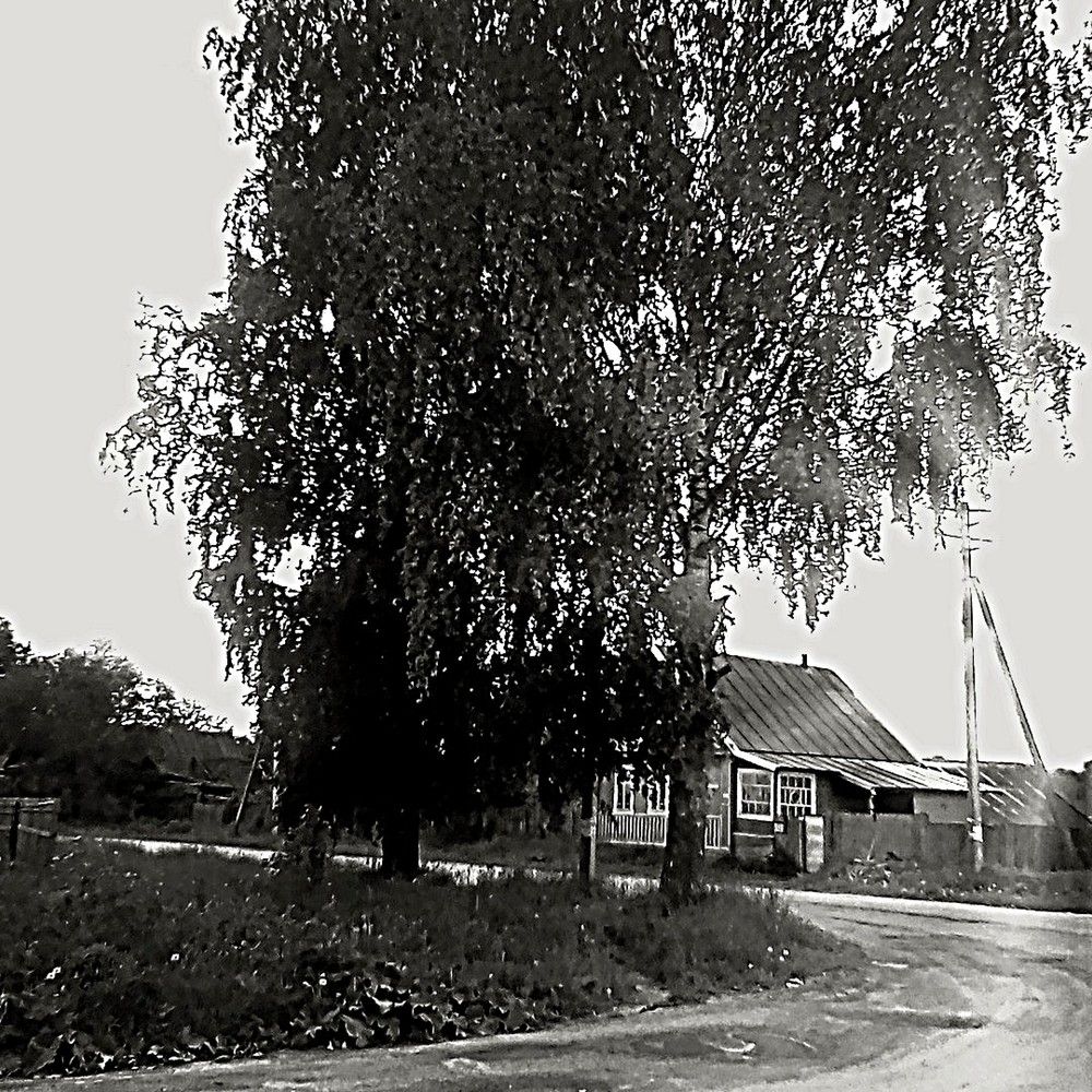 Photograph by Maks315519