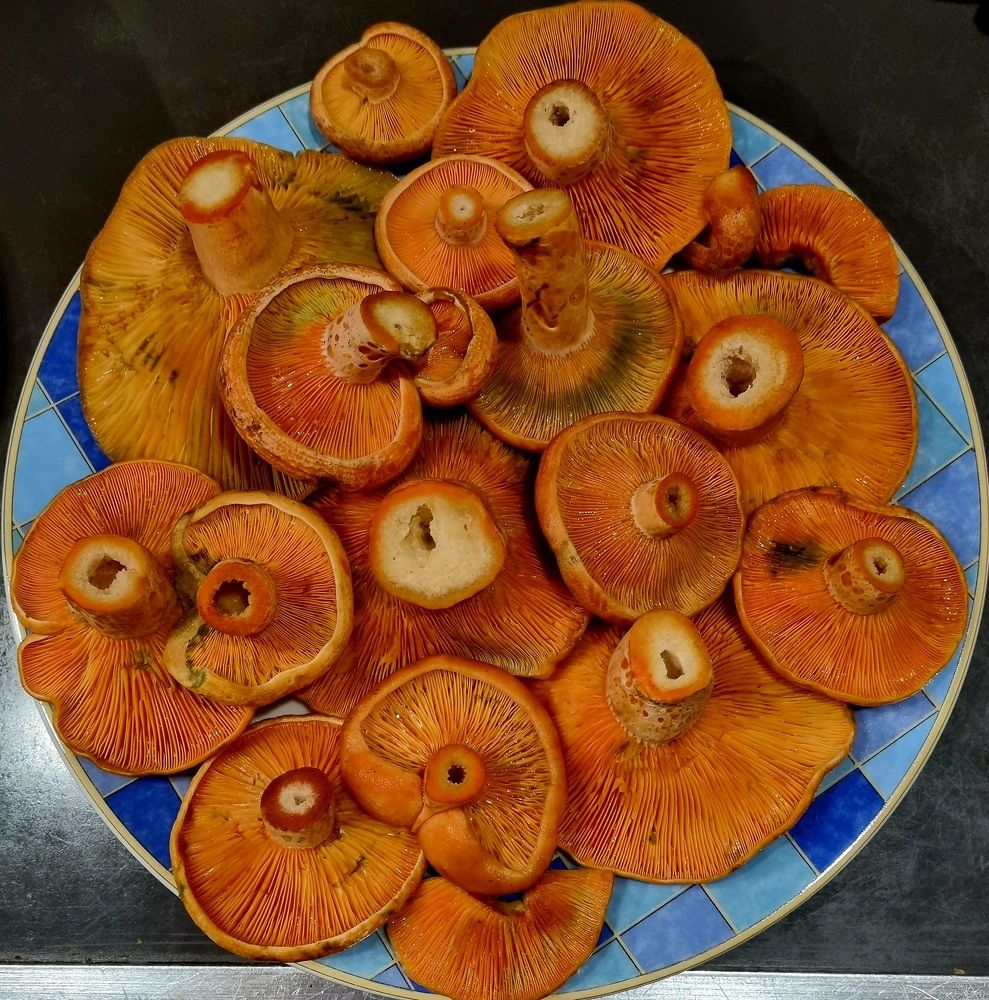 Photograph by Максим Иванов