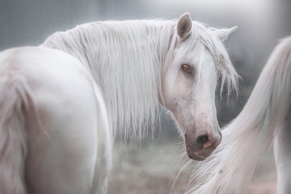 Photograph by Матвеева Наталия