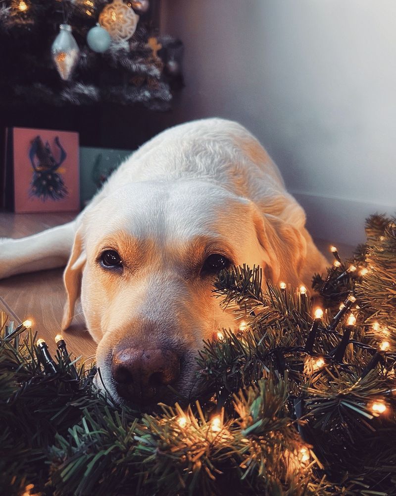 Photograph by Татьяна Волохова