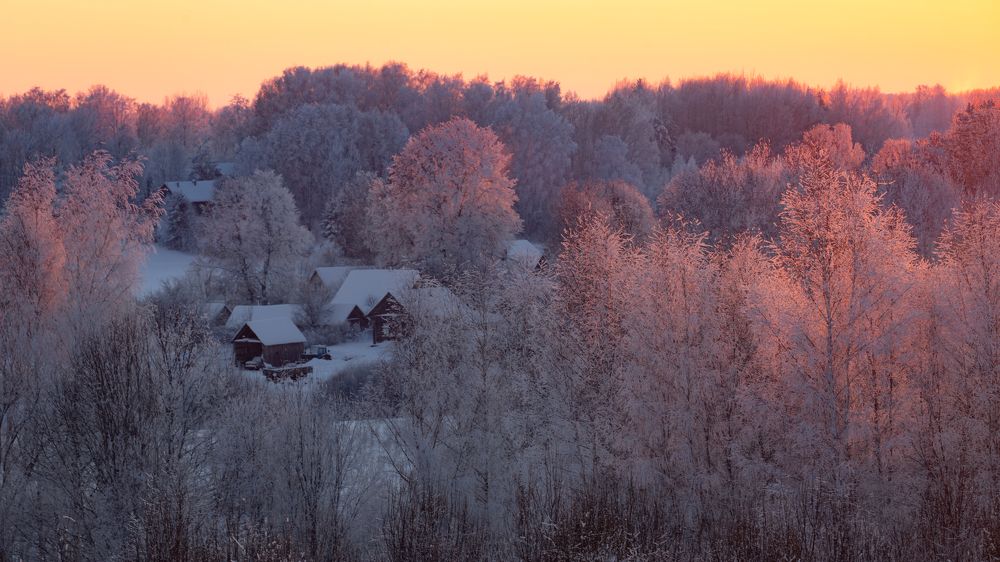 Фотография автора Boris Konovalov