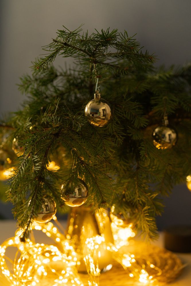 Photograph by Анна Полушина