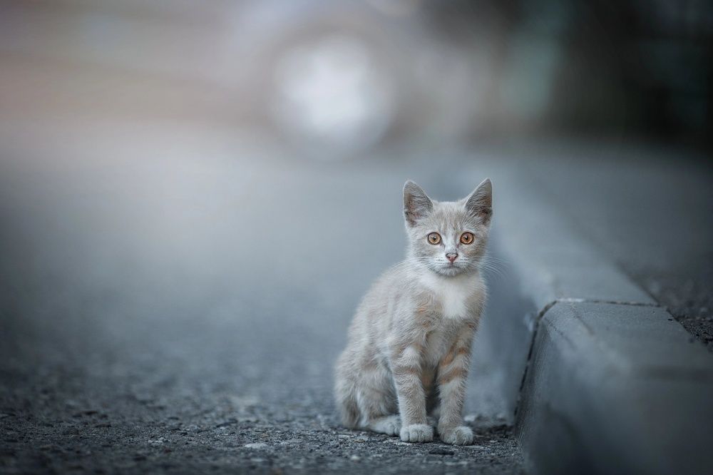 Photograph by Матвеева Наталия