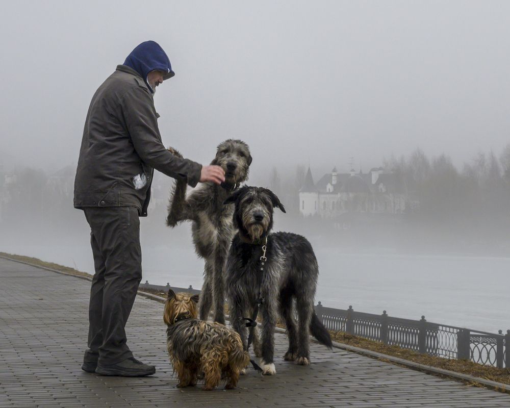 Фотография автора Ольга Лихтарь