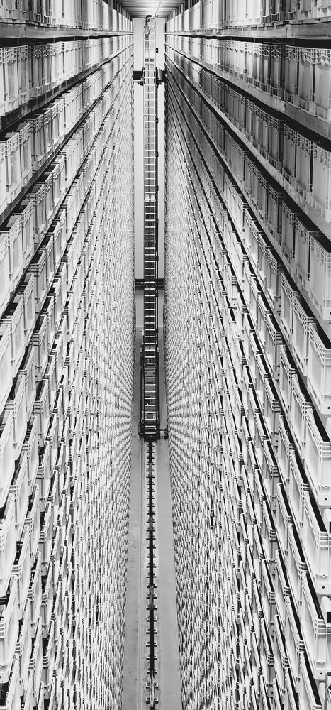 Photograph by esti lahat