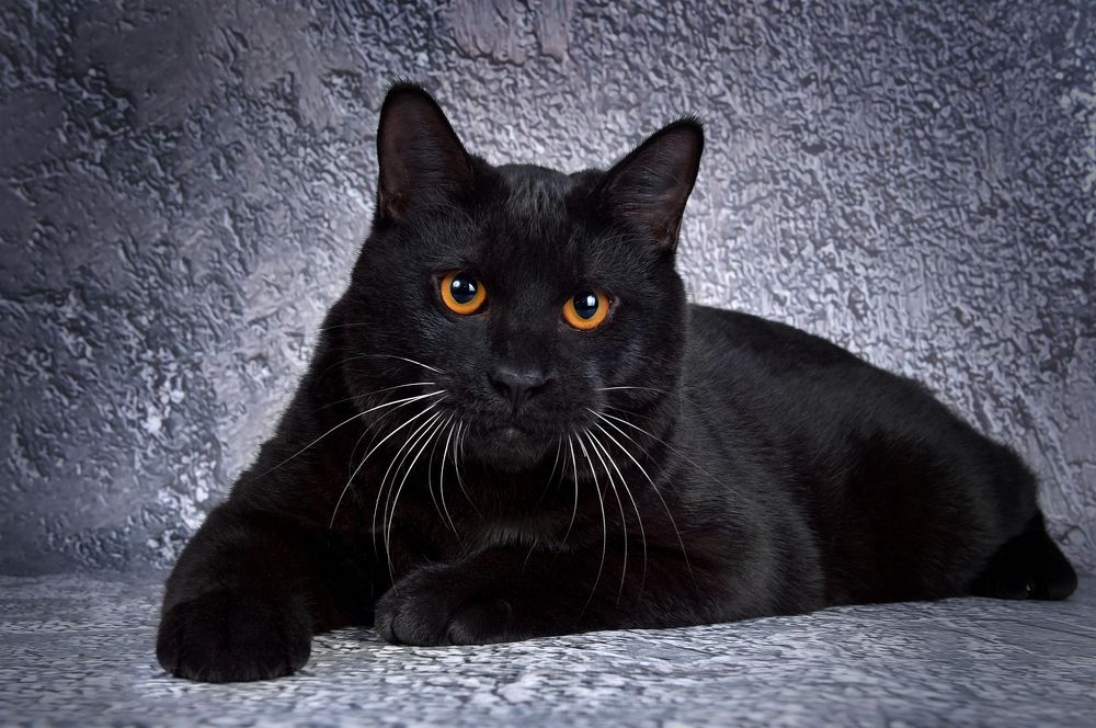 Photograph by Юлия