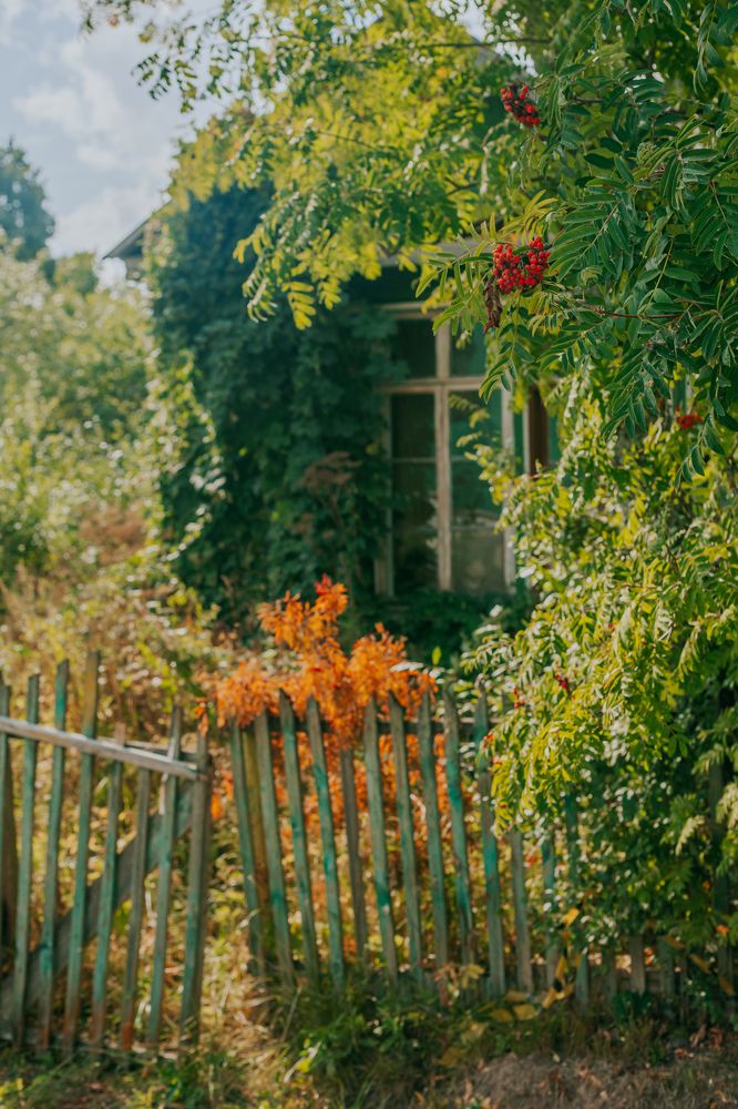 Photograph by Alexey Nikitin