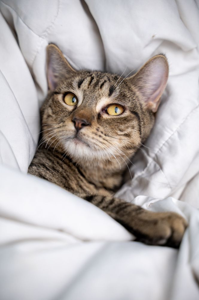 Photograph by Любовь Галушкина