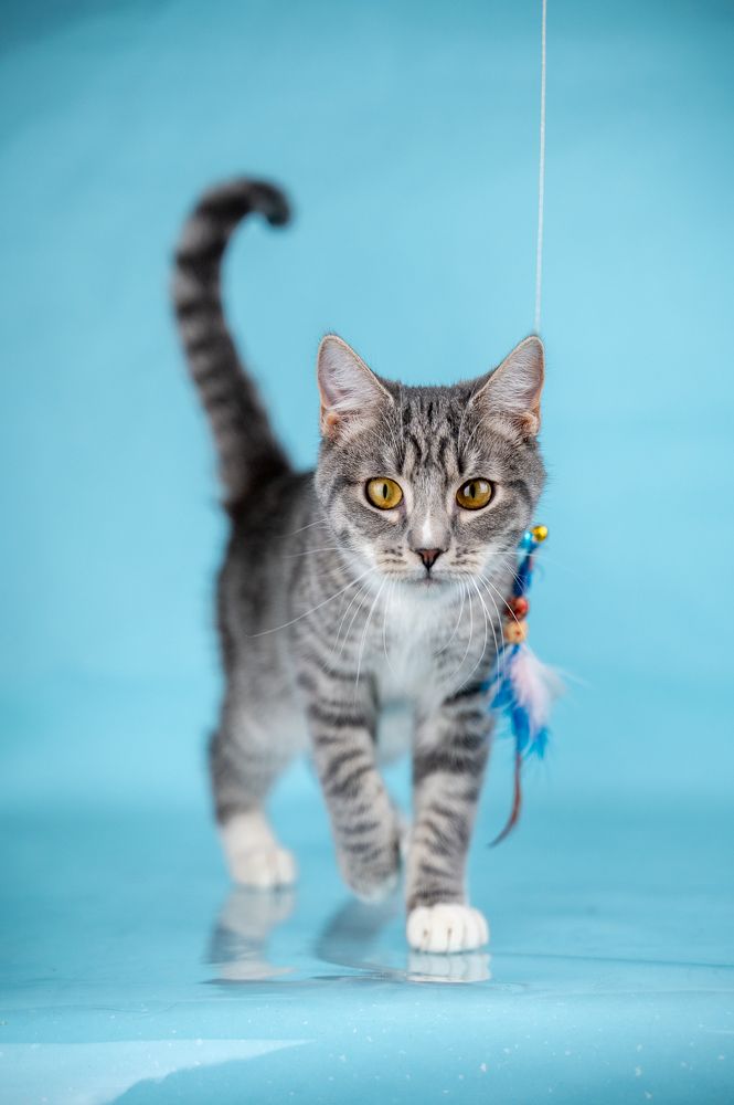 Photograph by Любовь Галушкина