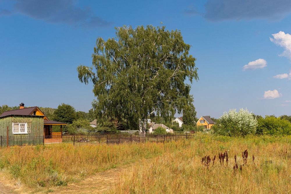 Photograph by Сергей Щербаков