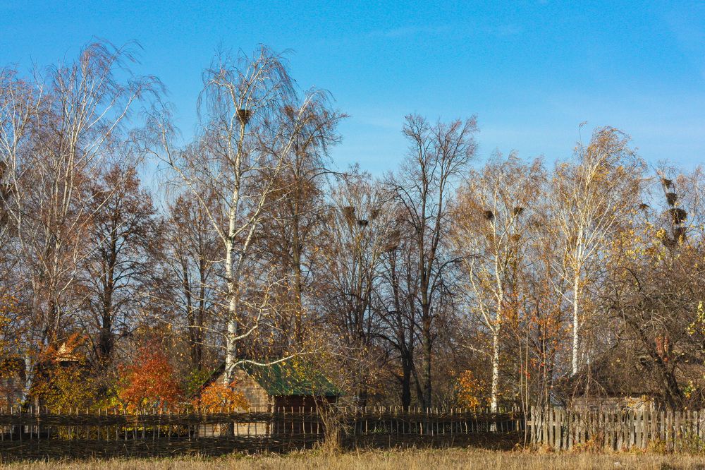 Photograph by Сергей Щербаков