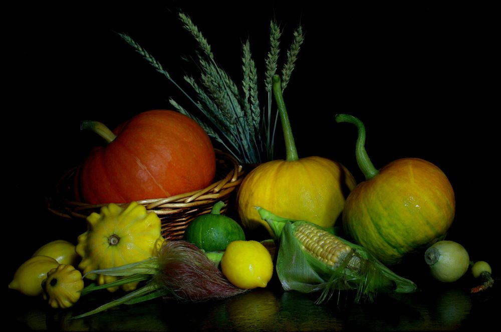 Фотография автора Nelya  Lysenko