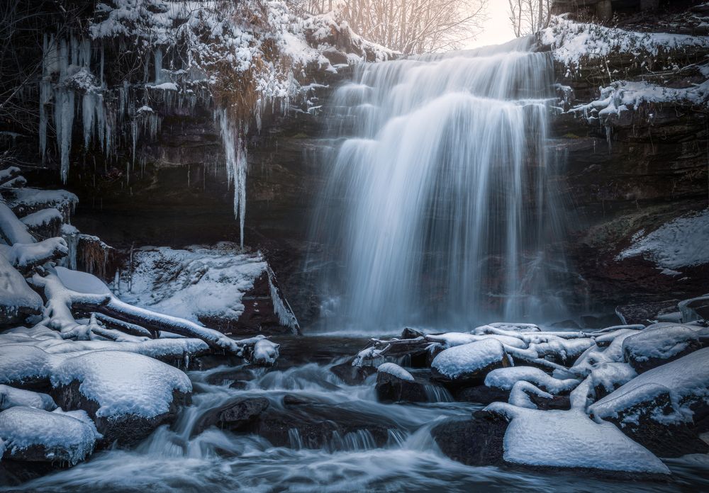 Фотография автора Liyan Dai