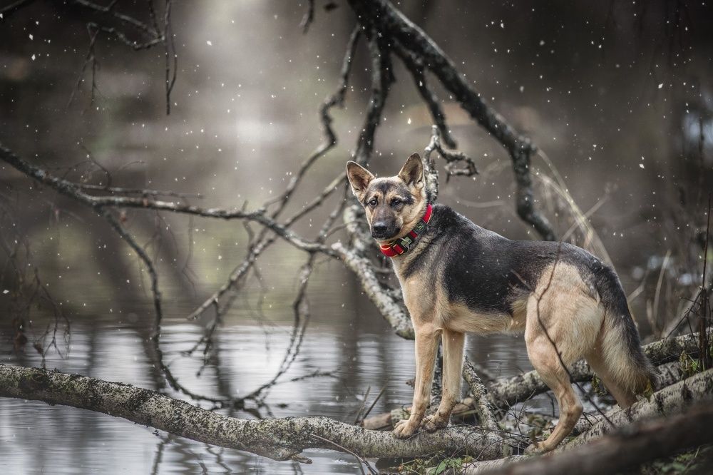 Photograph by Матвеева Наталия