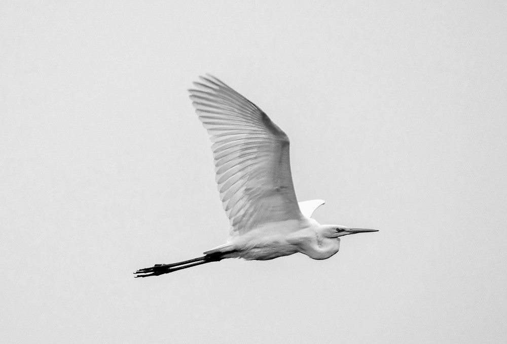 Photograph by Алексей Сиваков