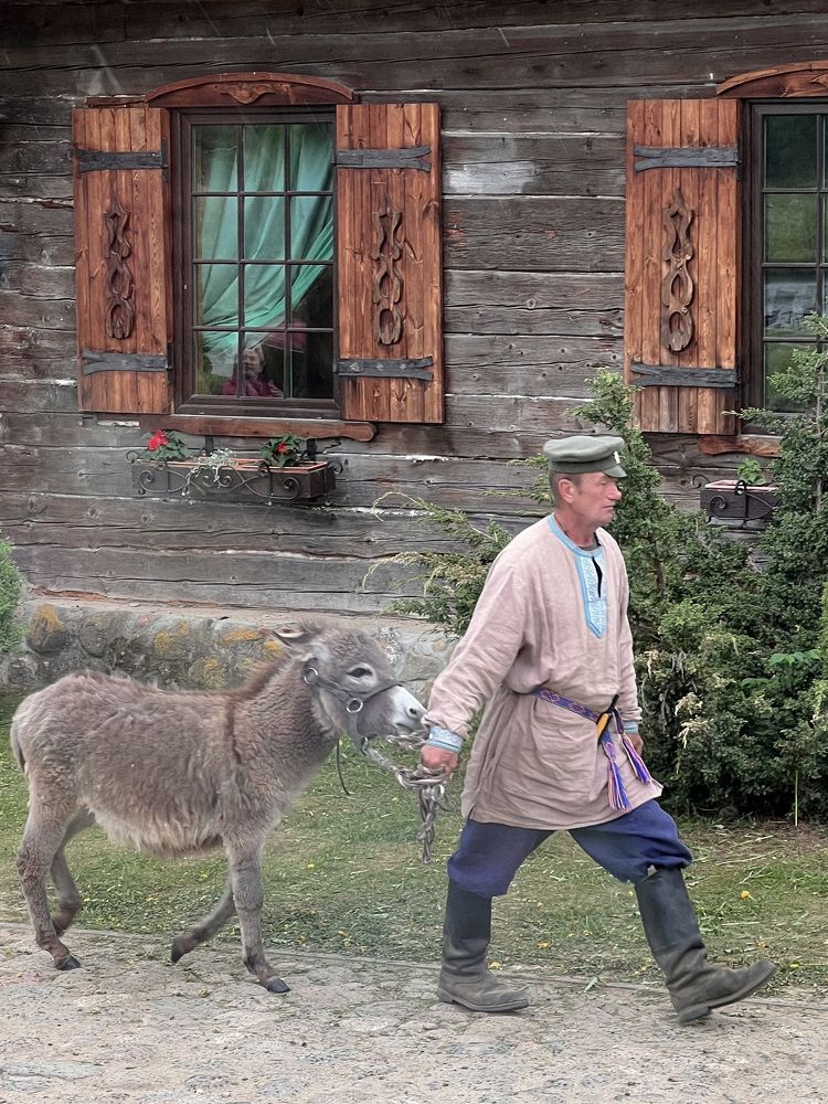 Photograph by Елена Башмакова