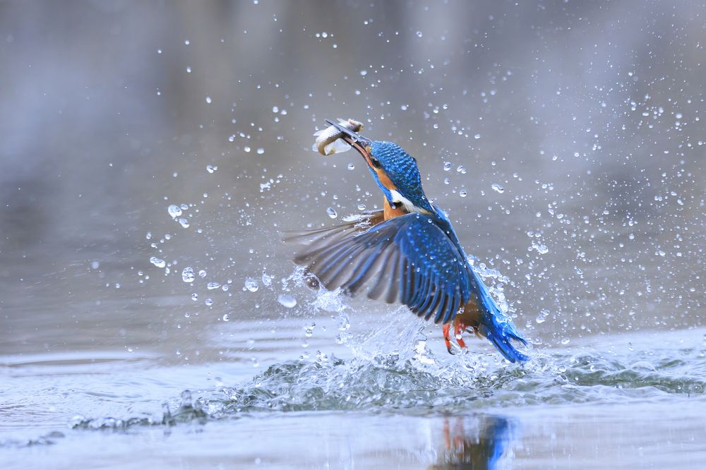 Photograph by Zsuzsi Gesztelyi-Nagy Margit