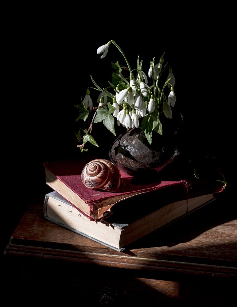 Фотография автора Uljana Kuchar