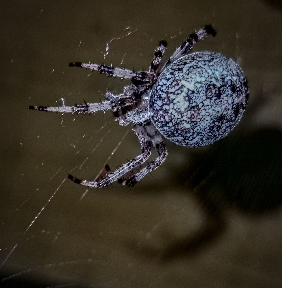 Photograph by Сергей Метлов