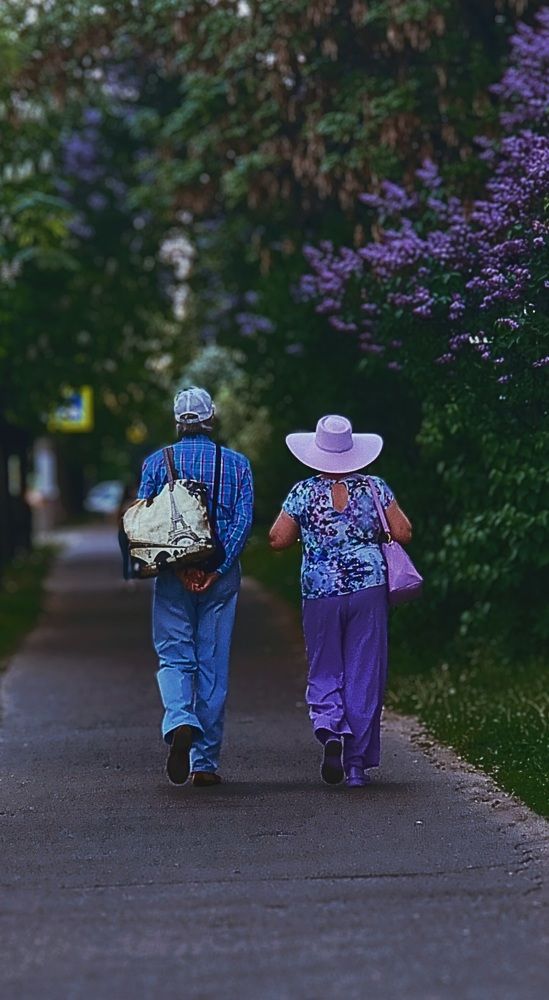 Сиреневый променад