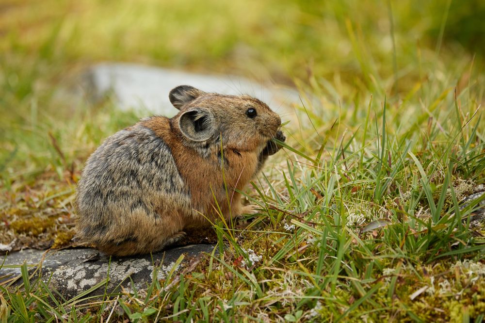 Photograph by Глеб Заходякин
