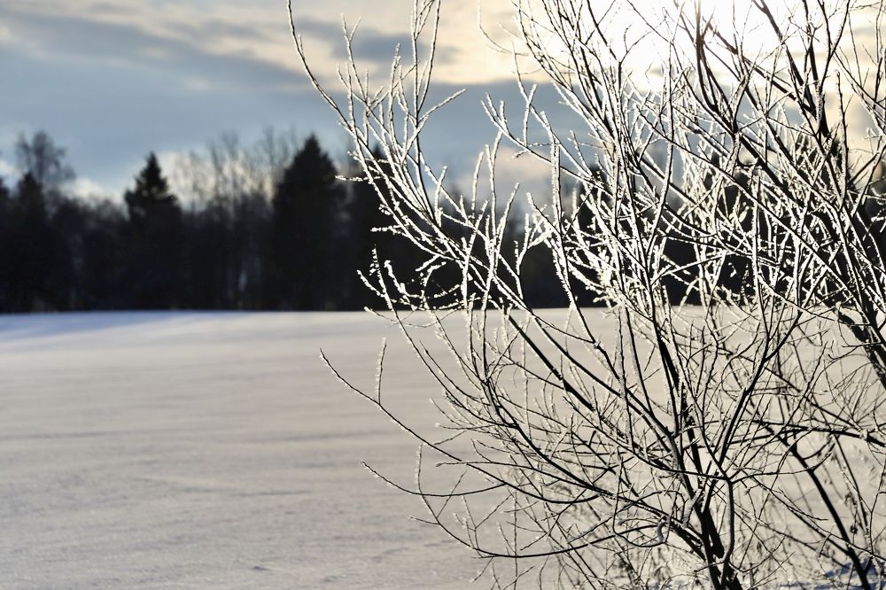 Photograph by Вера Сдвижкова