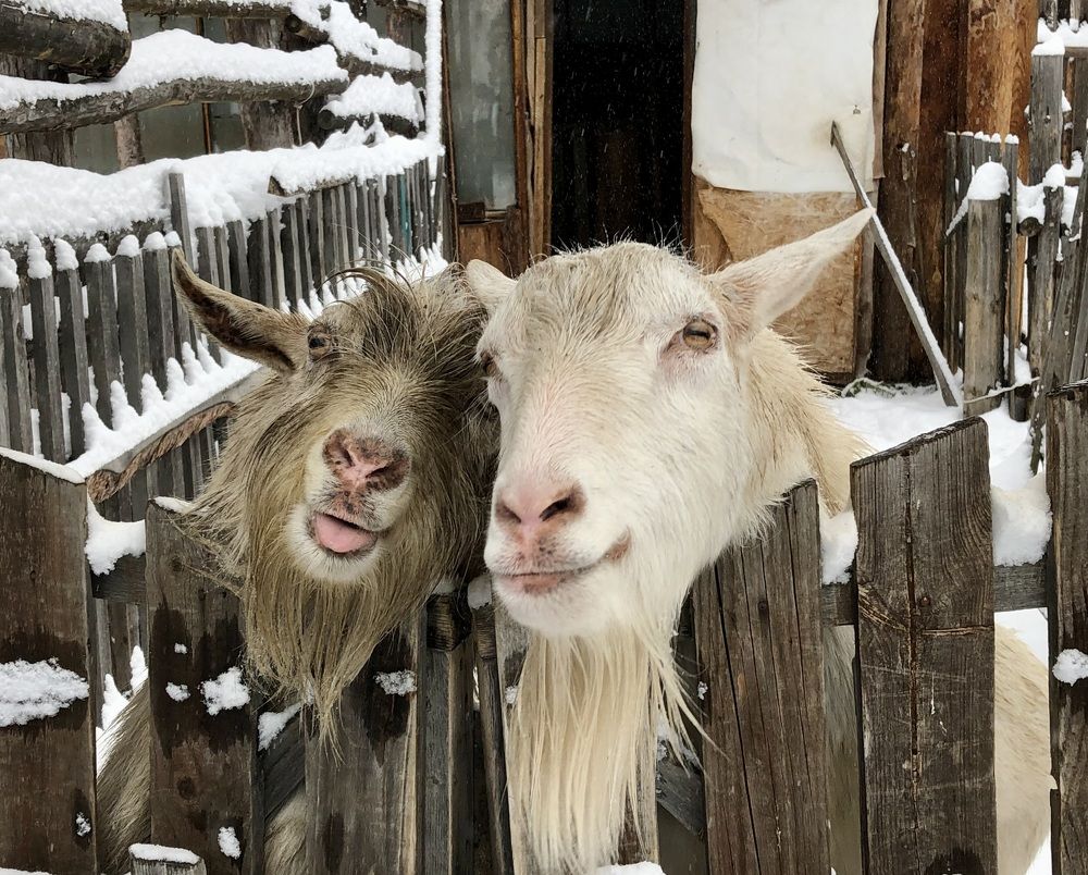 Фотография автора Евгения Елисеева