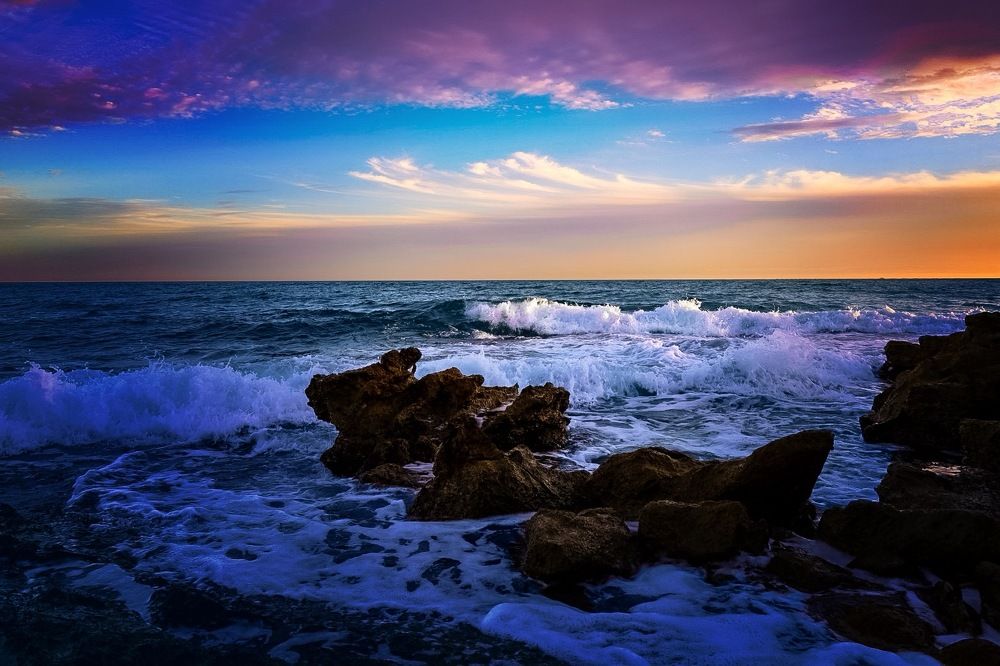 Photograph by Alexa Foxy