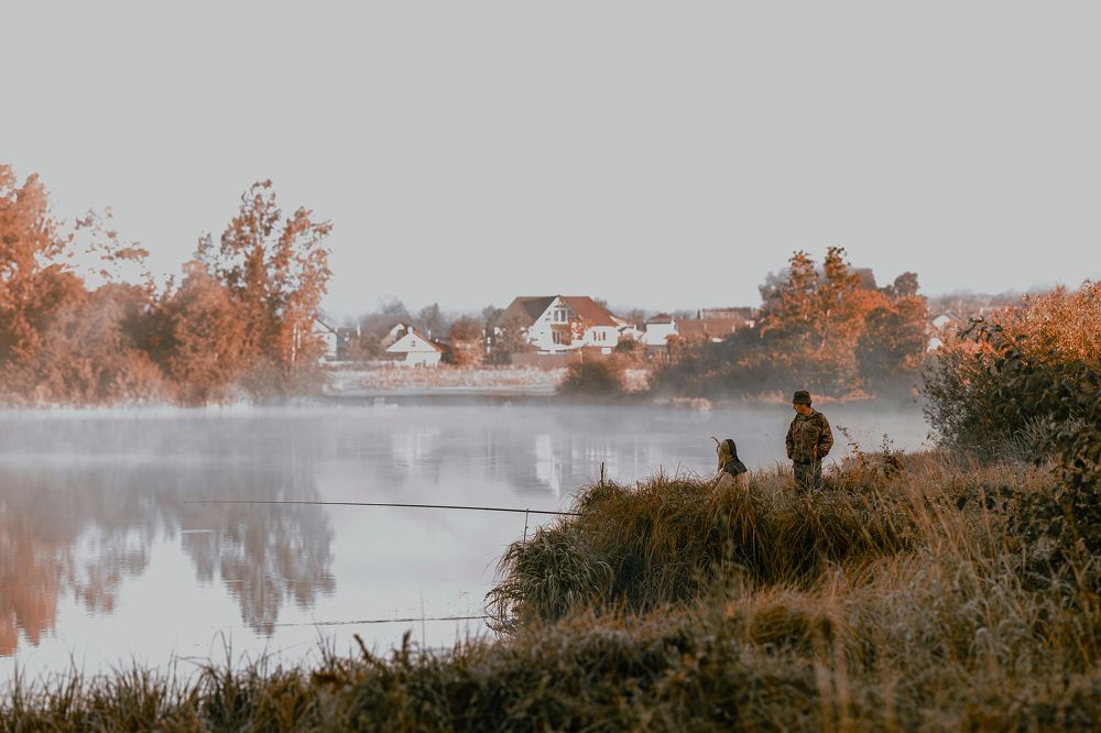 Photograph by Дмитрий Бровко