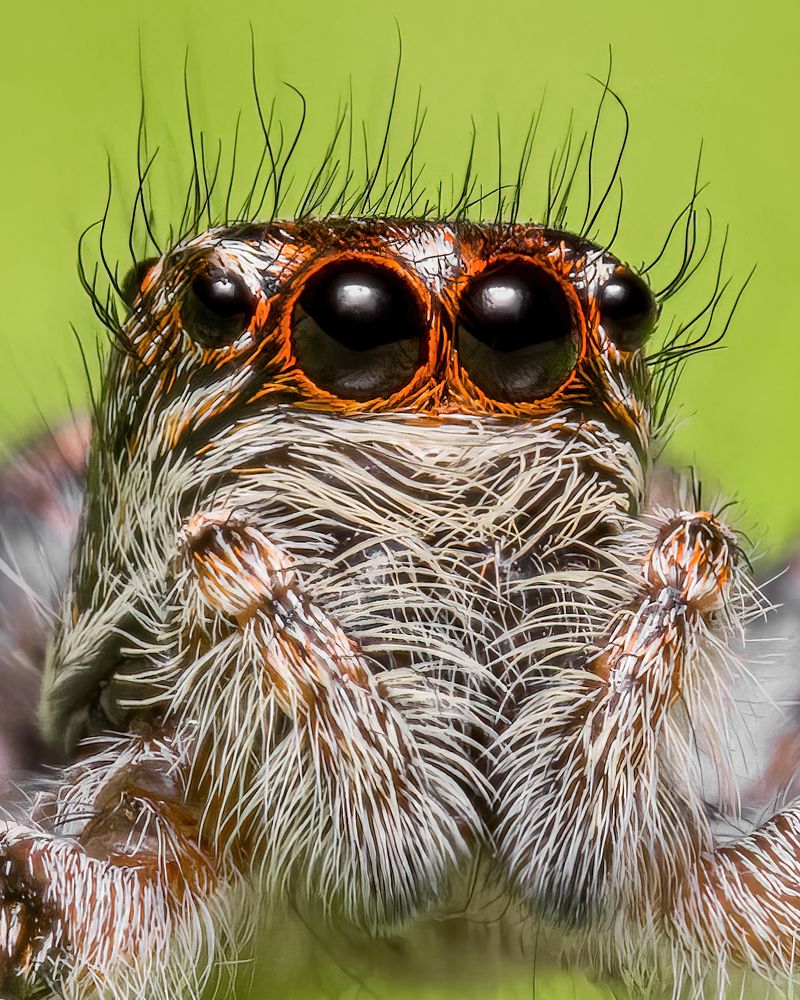 Photograph by Abolfazl Arab