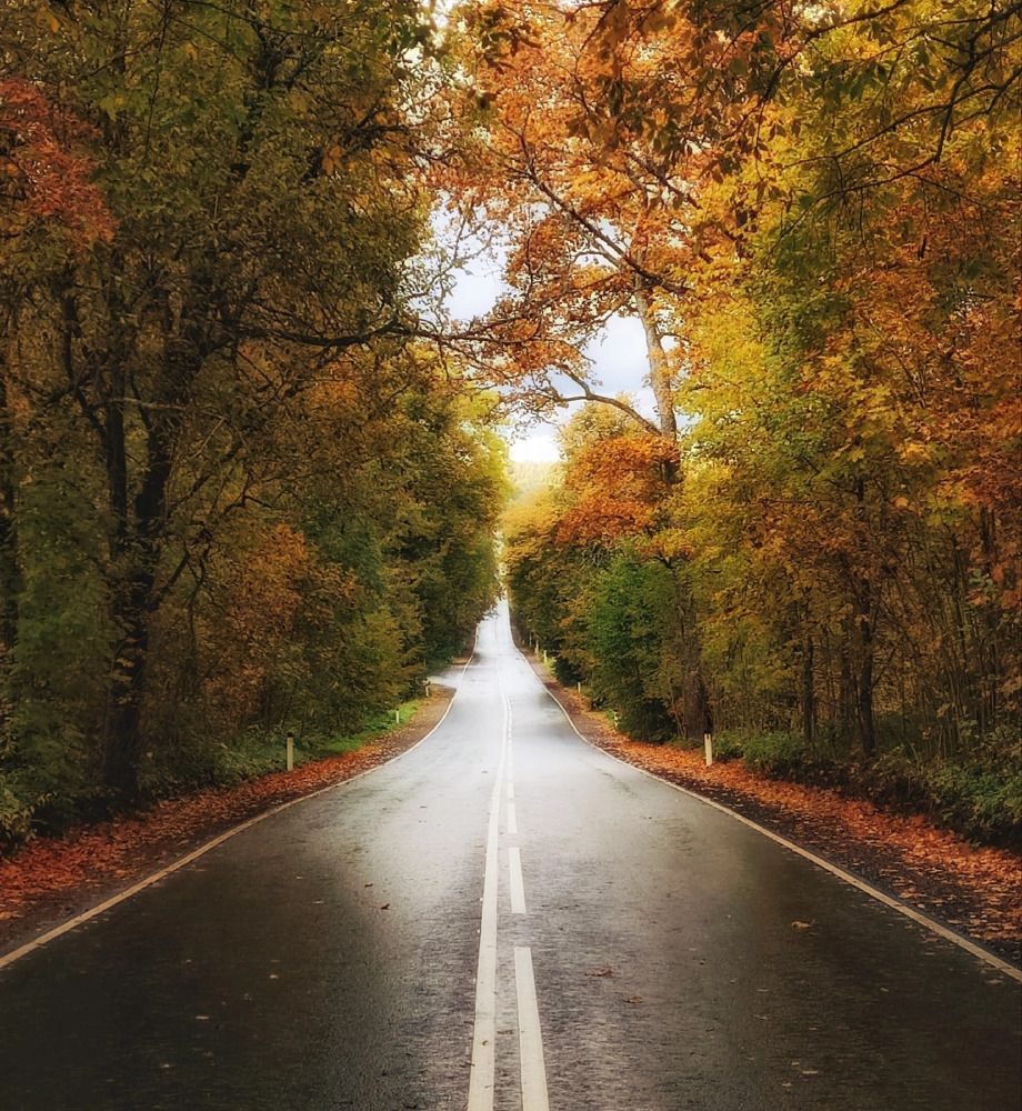 Photograph by Вячеслав Коканов