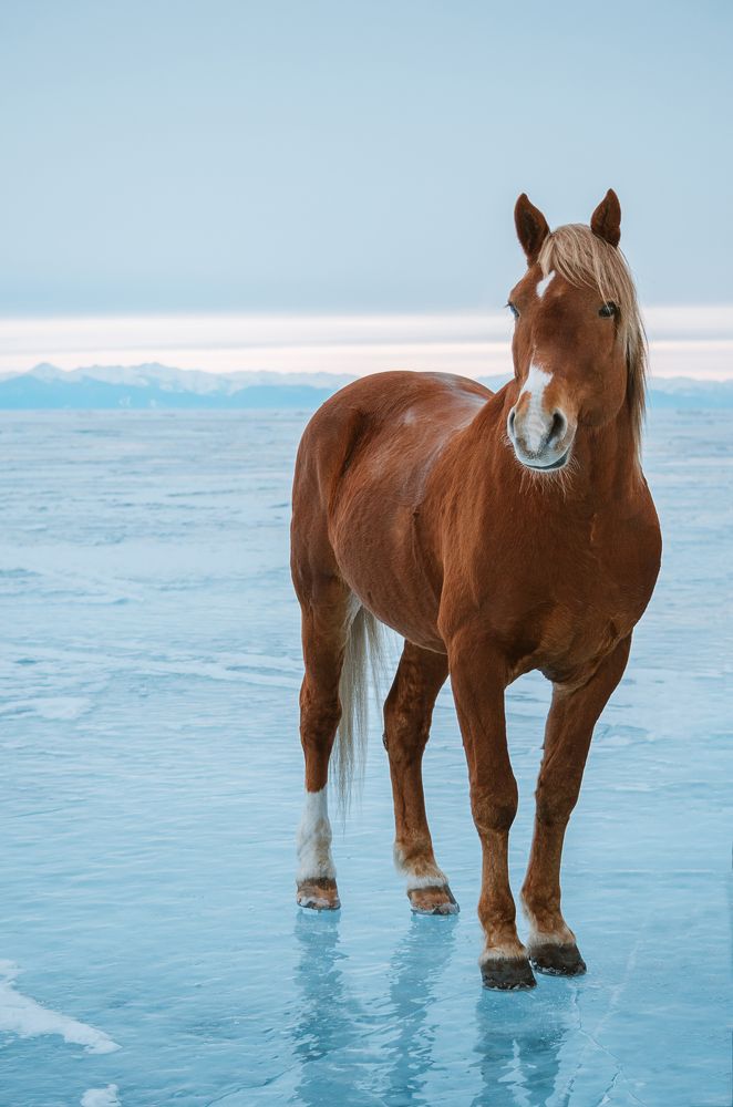 Photograph by Елена Коновалова