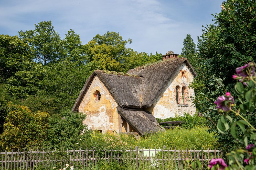 Фотография автора Minja Jovetic