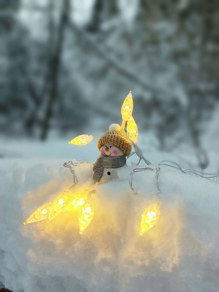 Снеговичок в снежном лесу