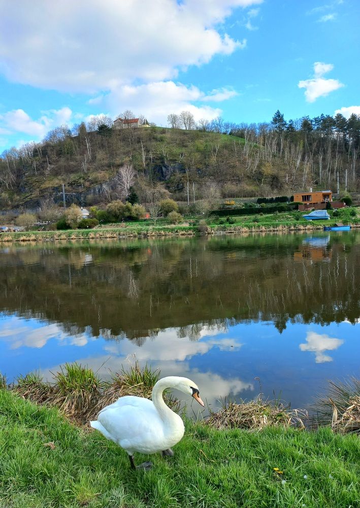 Photograph by Larissa Nayda