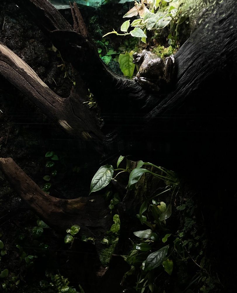 Фотография автора Дарья