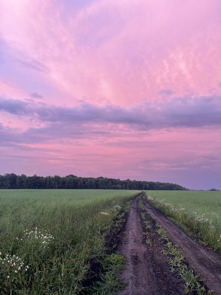 Фотография автора Дарья