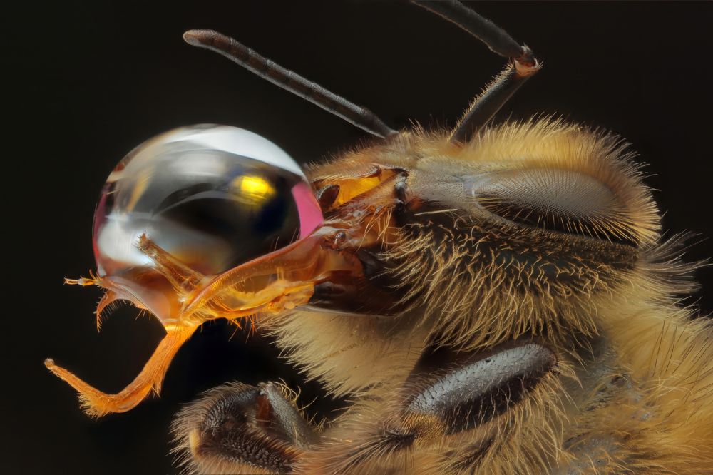 Совершенный мир! Perfect world!