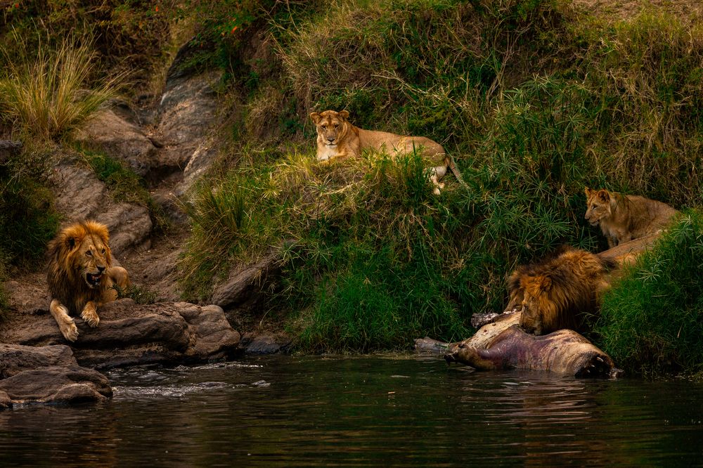 Photograph by Sai Kiran Bhagavatula