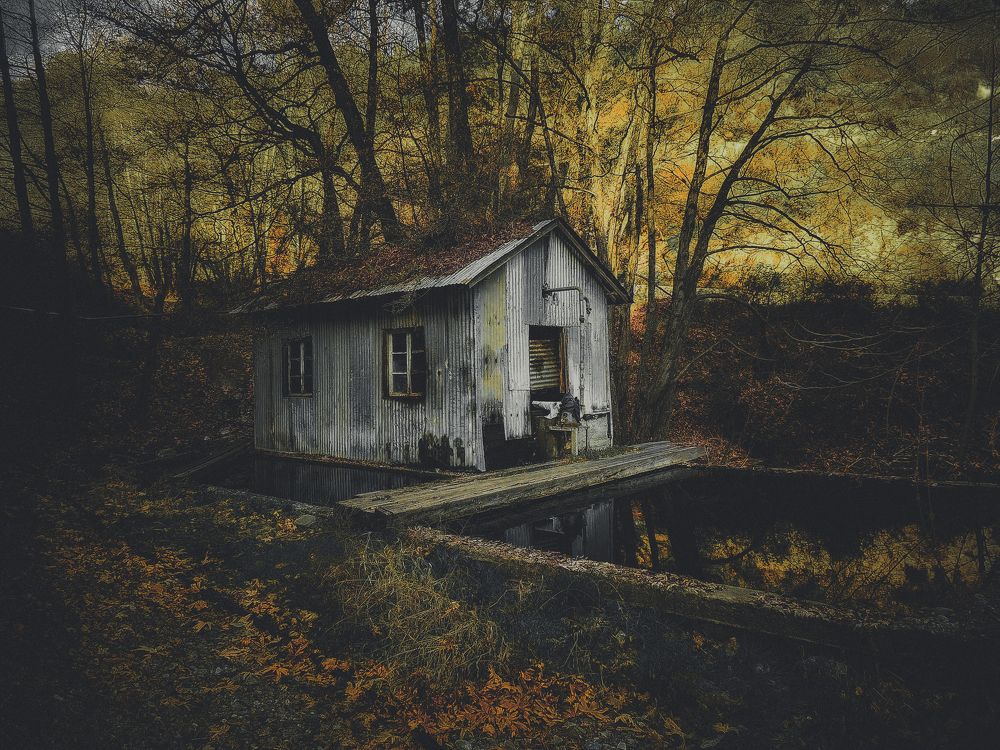 House in Mountain Village