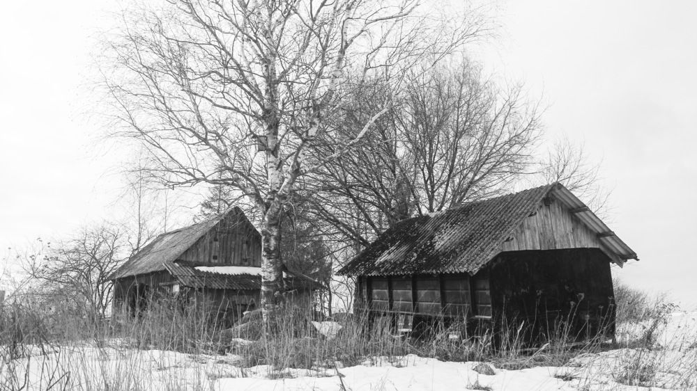 Photograph by Алексей Борисов