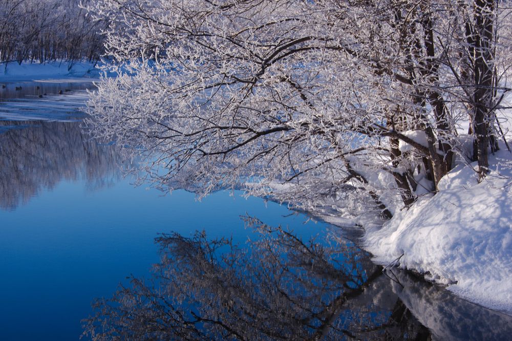 Фотография автора Лев Тишуров