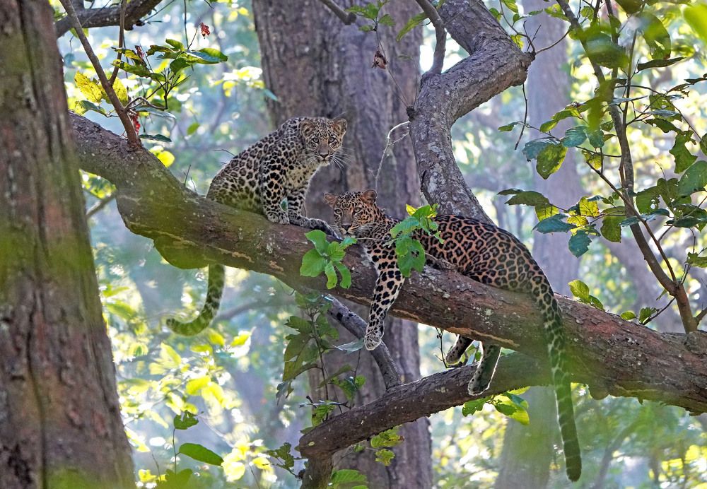 Photograph by Nirmalya Chakraborty