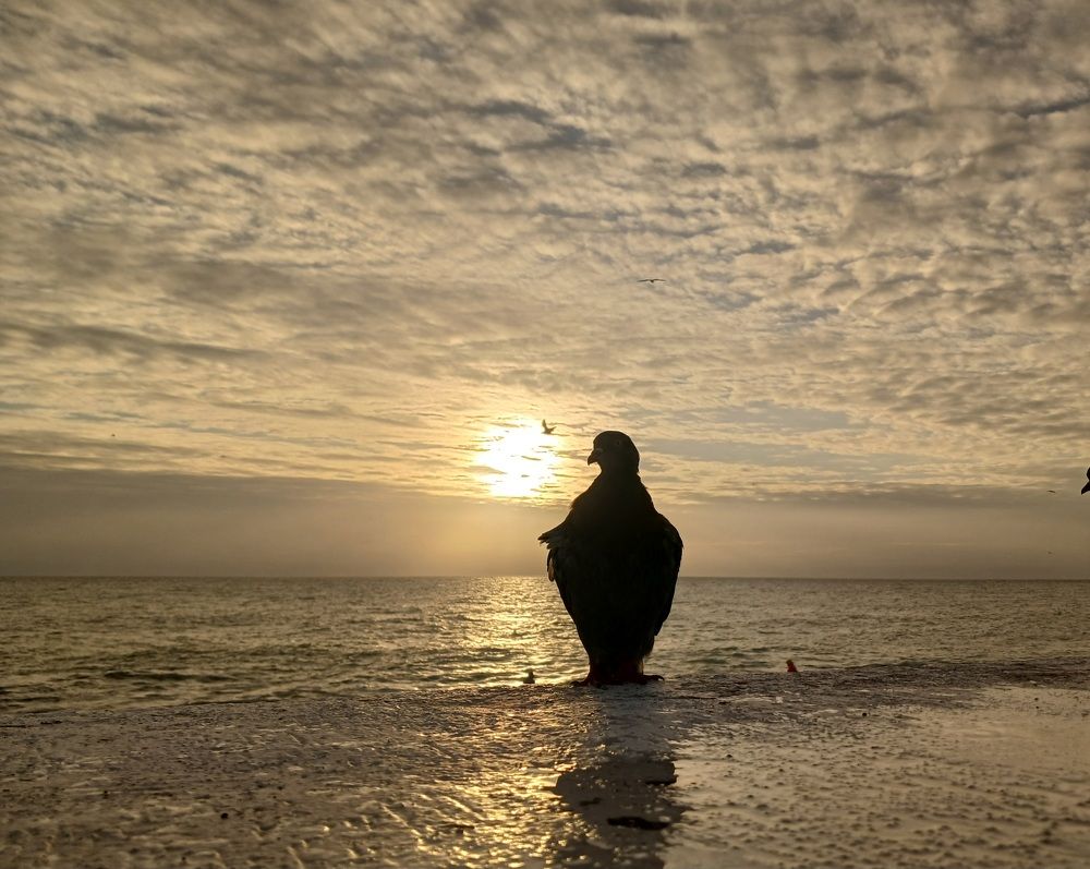 Photograph by Елена Кузнецова