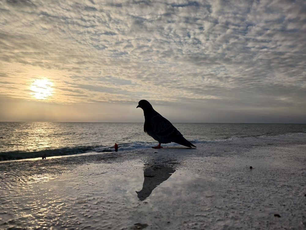 Photograph by Елена Кузнецова