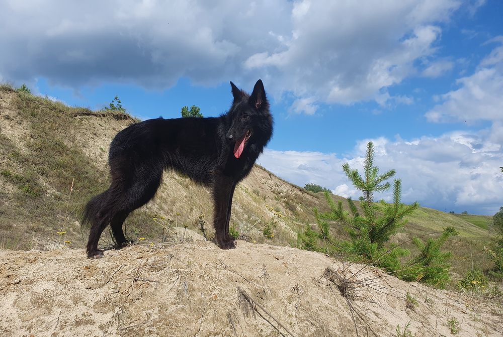 Фотография автора Надежда Лисицына