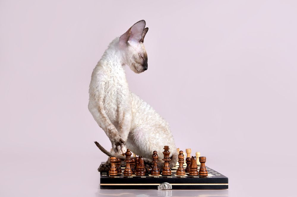 Photograph by Юлия Вакуленко