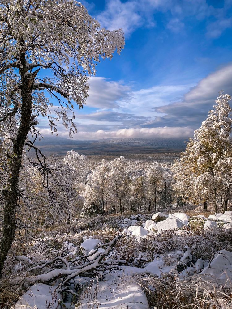 Photograph by Евгений Шекунов